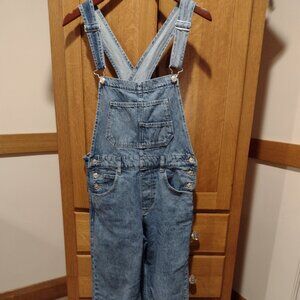 We The Free Blue Denim Overalls